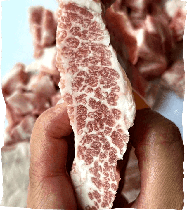 Ibérico pork with beautiful marbling