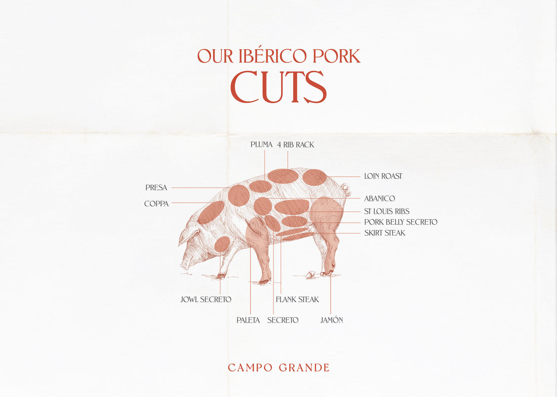 The Best Cuts of Ibérico Pork
