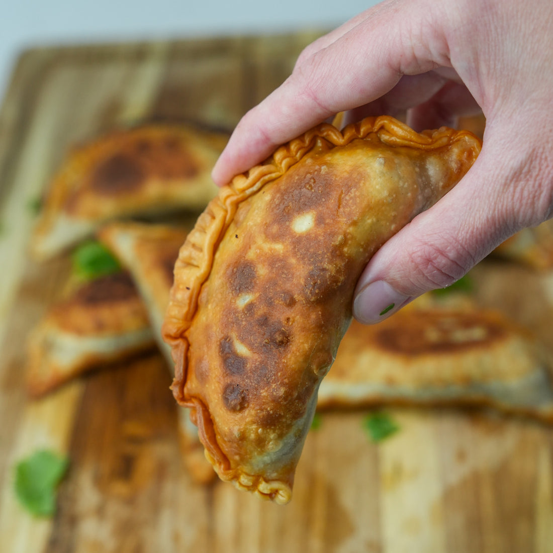 Coppa Birria Empanadas