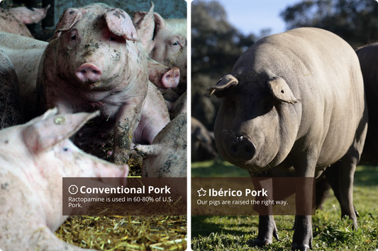 Ractopamine: The Glyphosate of Pork