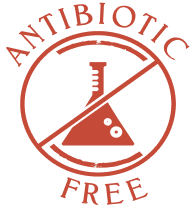 Antibiotic Free